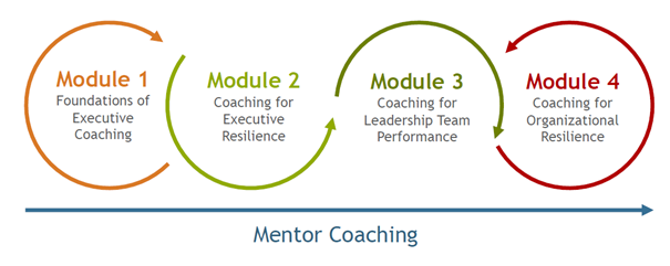 coaching-master-program-1