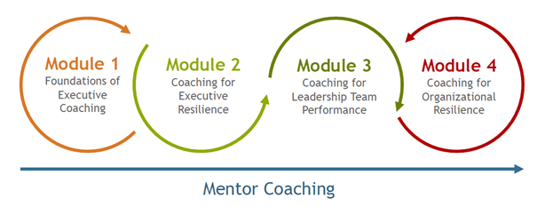 coaching-master-program-1 coaching-master-program-1